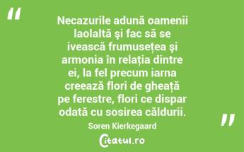 Necazurile adună oamenii laolaltă şi fac să se ivească frumuseţea şi armonia în relaţia dintre ei, la fel precum iarna creează flori de gheaţă pe ferestre, flori ce dispar odată cu sosirea căldurii. Soren Kierkegaard...
