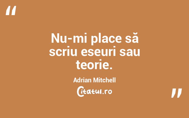 Nu-mi place să scriu eseuri sau teorie. Adrian Mitchell
