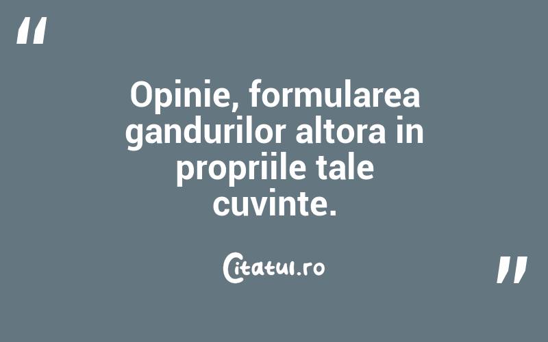 Opinie, formularea gandurilor altora in propriile tale cuvinte.