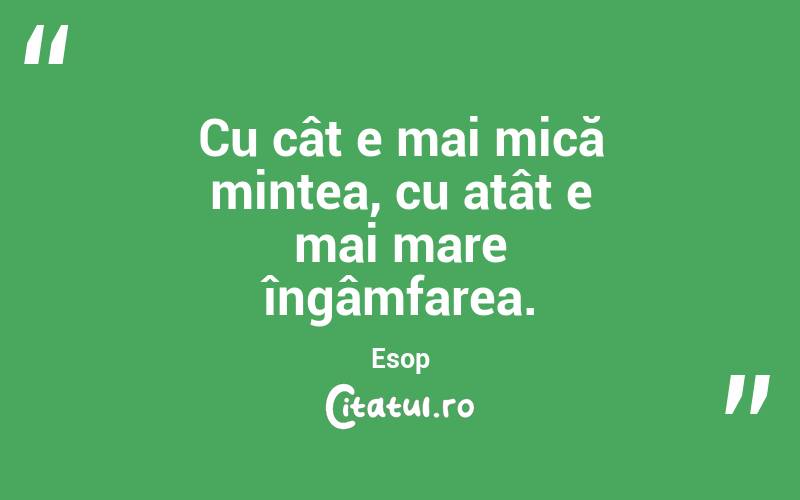 Cu cât e mai mică mintea, cu atât e mai mare îngâmfarea. Esop

