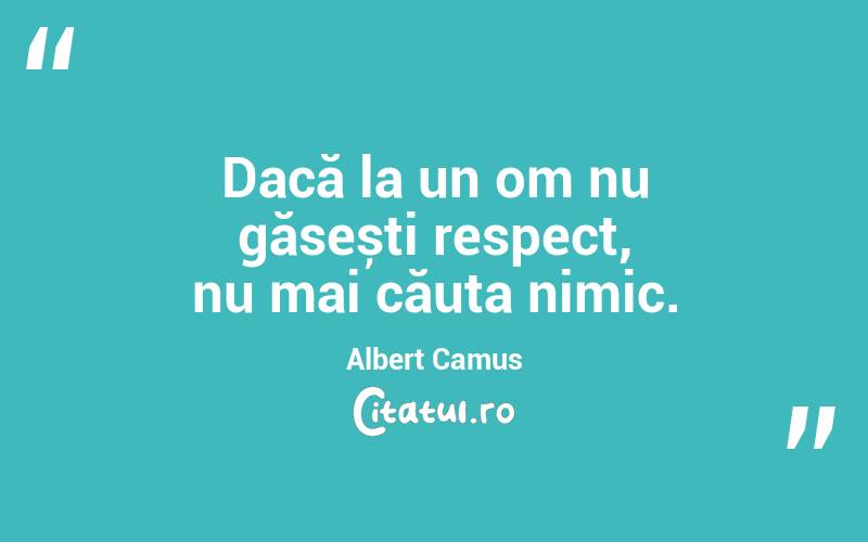 Dacă la un om nu găsești respect, nu mai căuta nimic. Albert Camus
