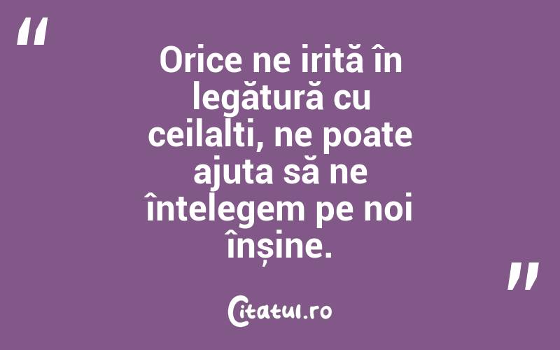 Orice ne irită în legătură cu ceilalți, ne poate ajuta să ne înțelegem pe noi înșine.
