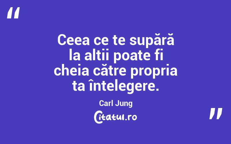 Ceea ce te supără la alții poate fi cheia către propria ta înțelegere. Carl Jung
