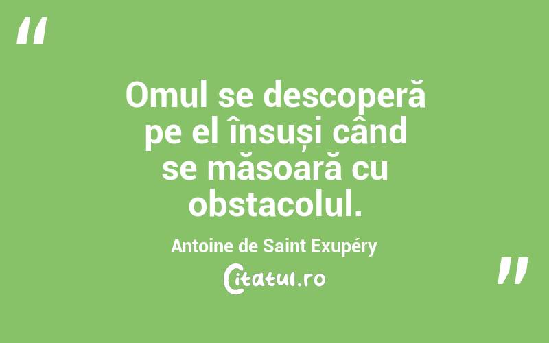 Omul se descoperă pe el însuși când se măsoară cu obstacolul. Antoine de Saint Exupéry
