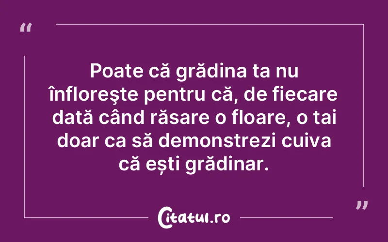 Citat Autor necunoscut - citate oameni