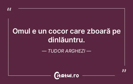 Nu rareori te întâlneşti cu hoţi car... Nu rareori te întâlneşti cu hoţi car...