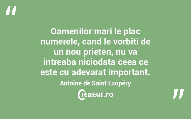 Oamenilor mari le plac numerele, cand le vorbiti de un nou prieten, nu va intreaba niciodata ceea ce este cu adevarat important. Antoine de Saint Exupéry
