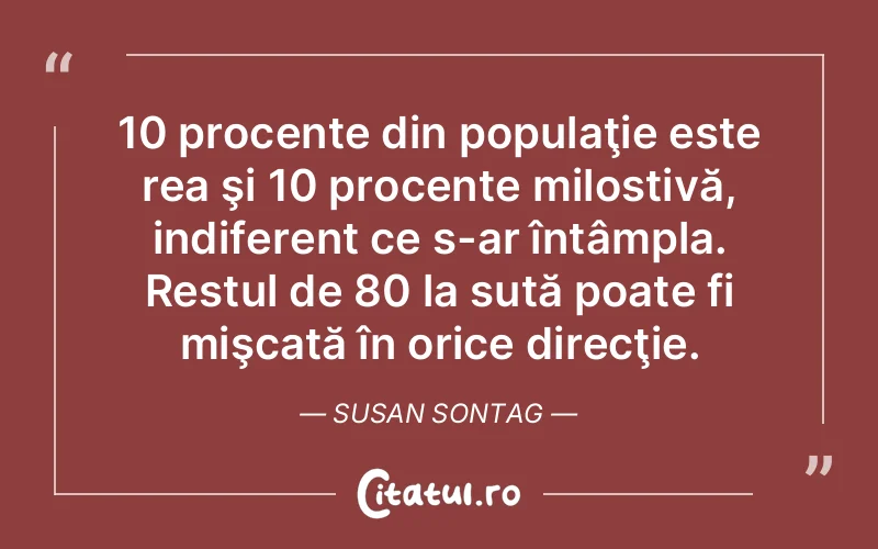 Citat Susan Sontag - citate oameni