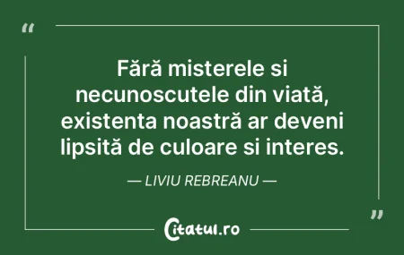 Viața este o torță minunată pe care ... Viața este o torță minunată pe care ...