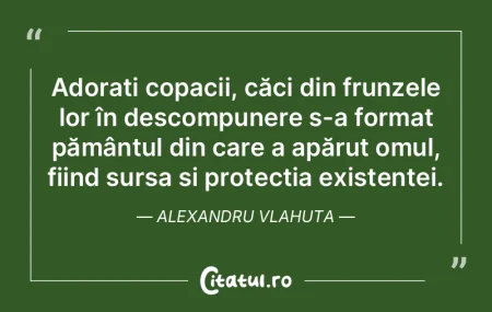 Evoluția morală aduce o lumină aparte...