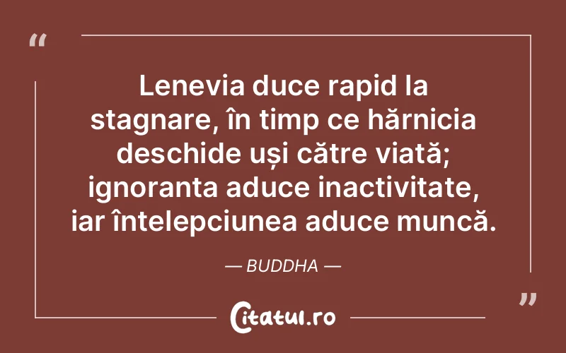 Citat Buddha - citate oameni