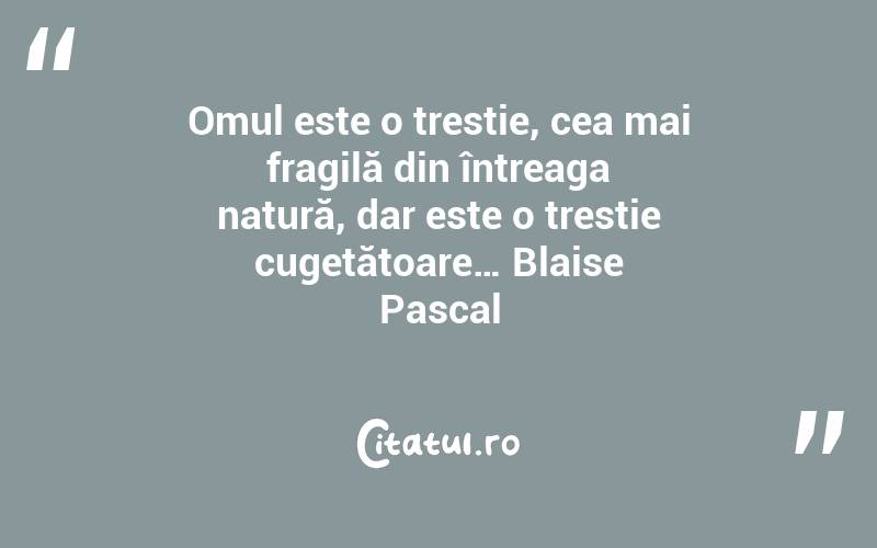 Omul este o trestie, cea mai fragilă din întreaga natură, dar este o trestie cugetătoare… Blaise Pascal
