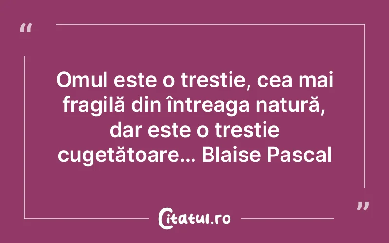 Omul este o trestie, cea mai fragilă din întreaga natură, dar este o trestie cugetătoare… Blaise Pascal