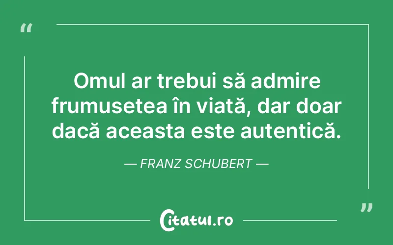 Citat Franz Schubert - citate oameni