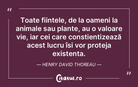 Mulți se dedică acum adunării de bog�...