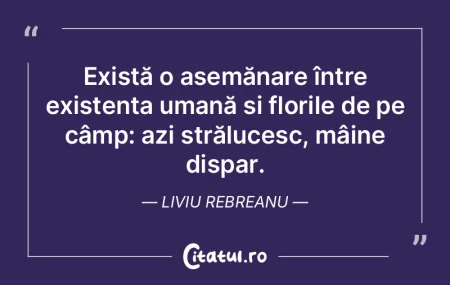Consider că oamenii nu au nevoie de car...