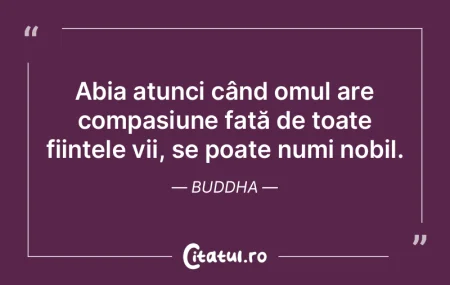 Un om gânditor nu ar trebui să-și iro... Un om gânditor nu ar trebui să-și iro...