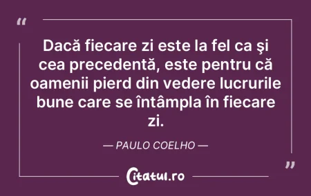 Pisica își maschează murdăria cu cen... Pisica își maschează murdăria cu cen...