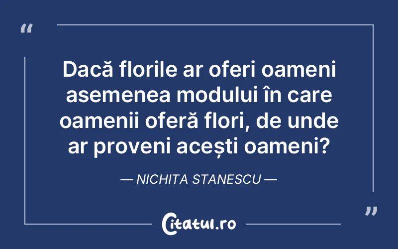 Citat Nichita Stanescu - citate oameni