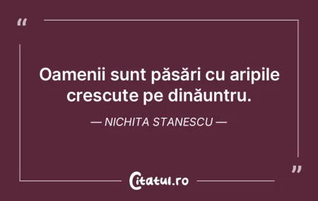 Oamenii sunt păsări cu aripile crescut...