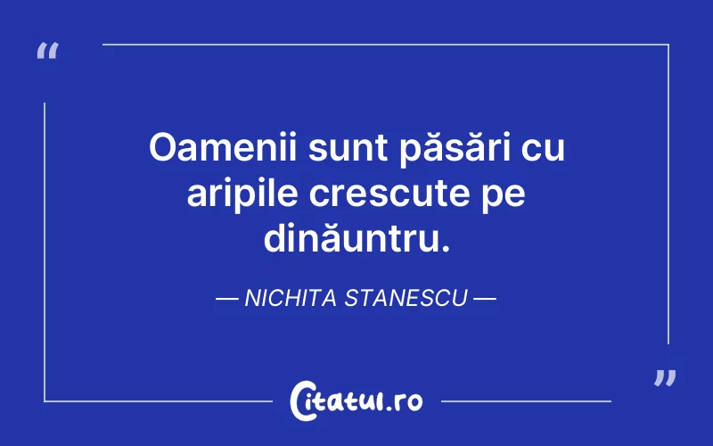 Citat Nichita Stanescu - citate oameni