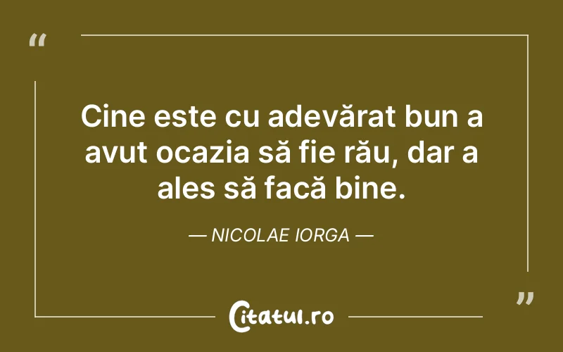 Citat Nicolae Iorga - citate oameni