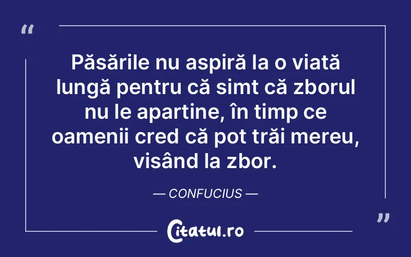 Citat Confucius - citate oameni