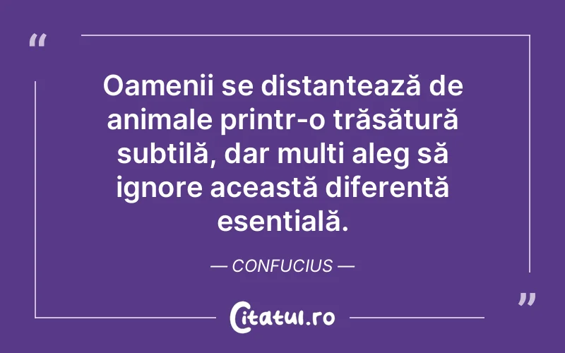 Citat Confucius - citate oameni