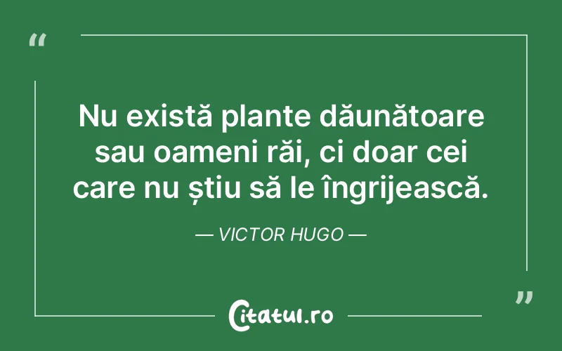 Citat Victor Hugo - citate oameni