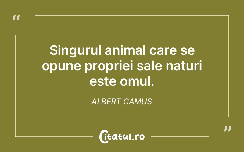 Citat Albert Camus - citate oameni