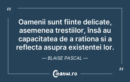 De multe ori, oamenii regretă cuvintele...