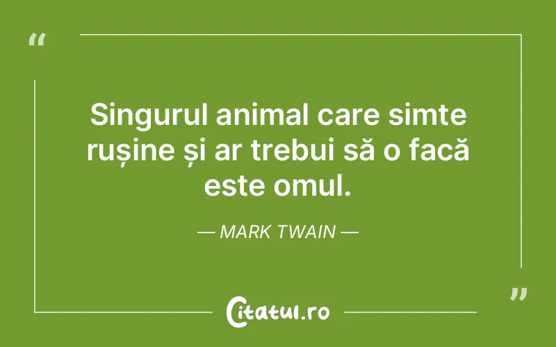 Citat Mark Twain - citate oameni