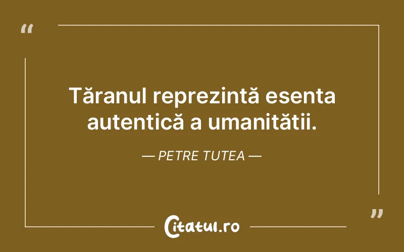 Citat Petre Tutea - citate oameni