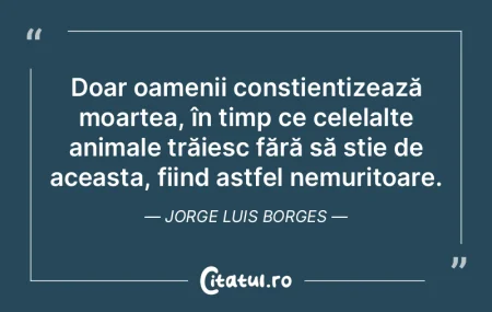 Cine are bunătate în suflet se dovedeÈ... Cine are bunătate în suflet se dovedeÈ...