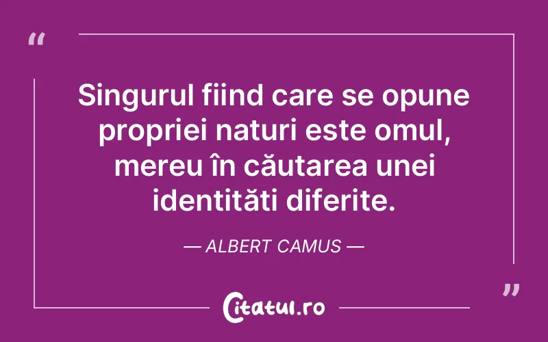 Citat Albert Camus - citate oameni