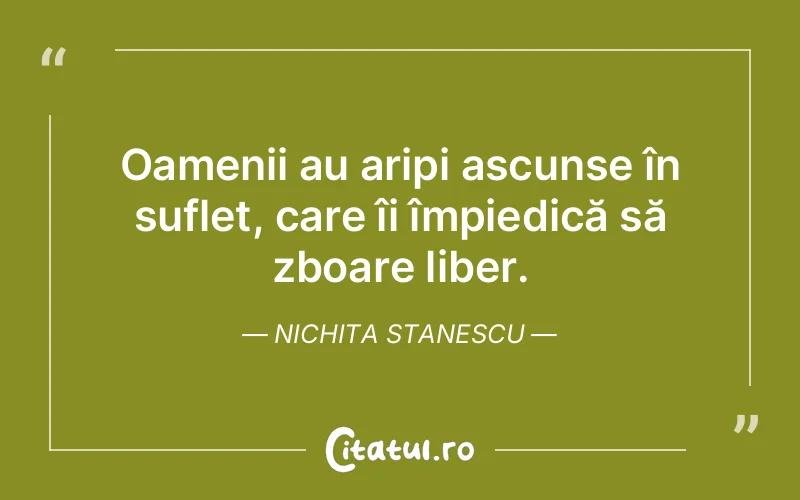 Citat Nichita Stanescu - citate oameni