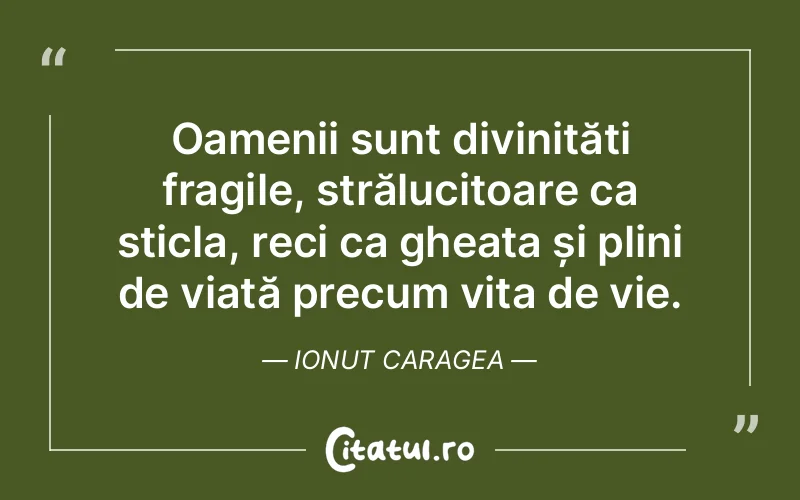 Citat Ionut Caragea - citate oameni