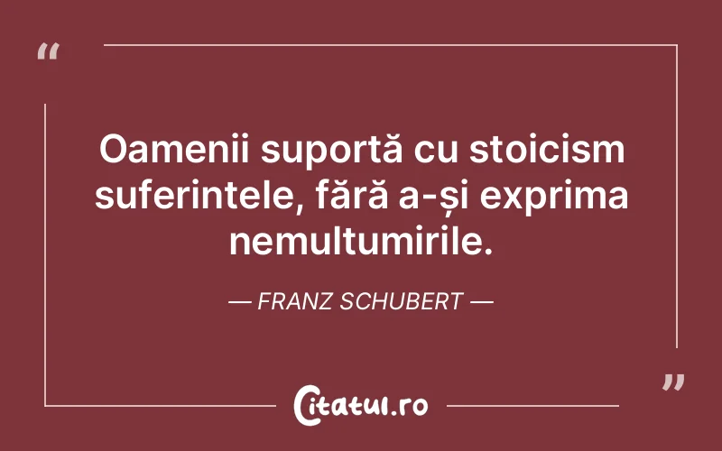 Oamenii suportă cu stoicism suferințele, fără a-și exprima nemulțumirile. Franz Schubert