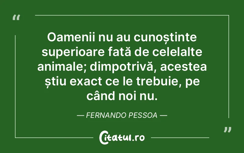 Citat Fernando Pessoa - citate oameni
