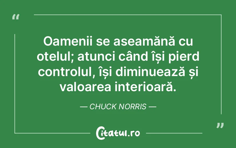 Citat Chuck Norris - citate oameni
