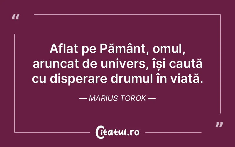 Aflat pe Pământ, omul, aruncat de univers, își caută cu disperare drumul în viață. Marius Torok