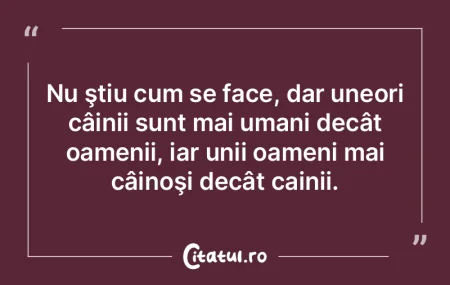 Câini, tot mai mulţi câini, oameni si...