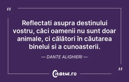 Legea reprezintă o relație autentică ...