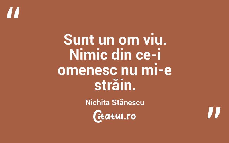 Sunt un om viu. Nimic din ce-i omenesc nu mi-e străin. Nichita Stănescu
