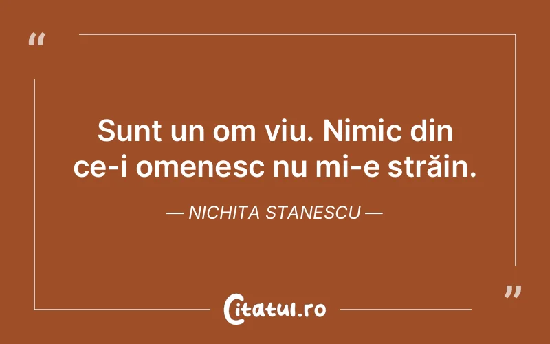 Sunt un om viu. Nimic din ce-i omenesc nu mi-e străin. Nichita Stanescu