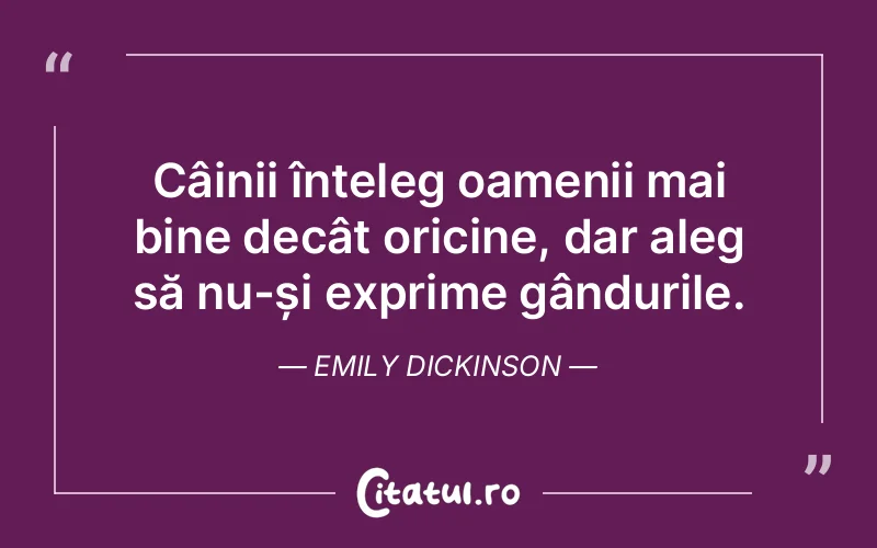 Citat Emily Dickinson - citate oameni