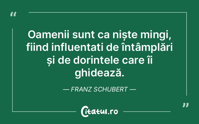 Citat Franz Schubert - citate oameni