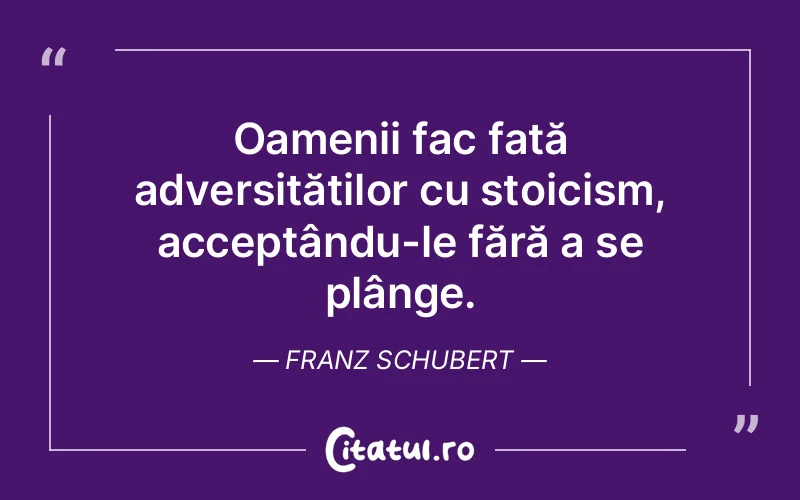 Citat Franz Schubert - citate oameni