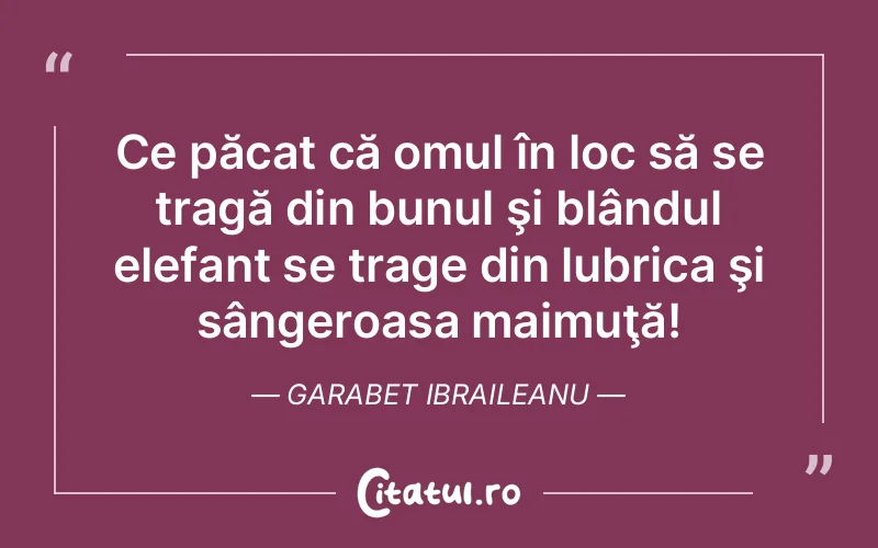 Citat Garabet Ibraileanu - citate oameni