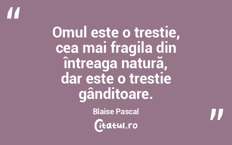 Omul este o trestie, cea mai fragila din întreaga natură, dar este o trestie gânditoare. Blaise Pascal
